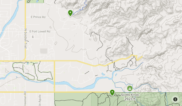 Saguaro Trip Map