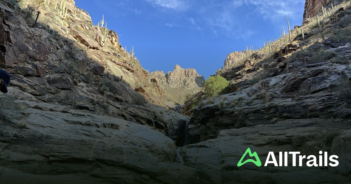 Sabino Canyon Recreation Area | List | AllTrails