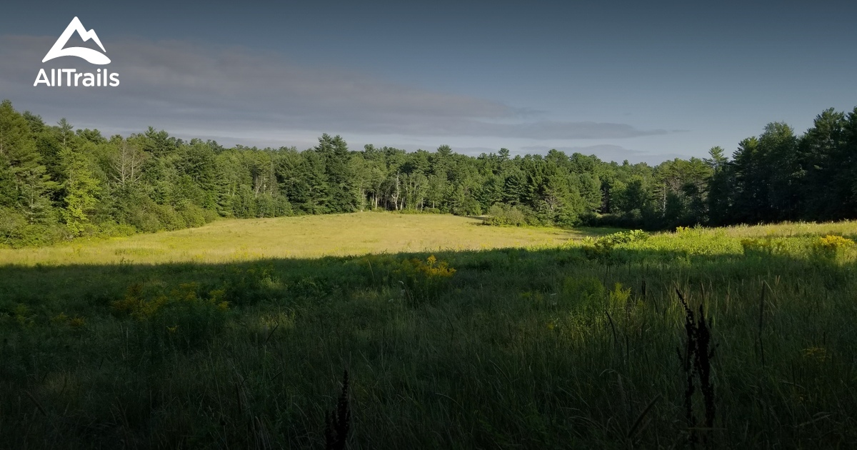 Black Brook Preserve | List | AllTrails