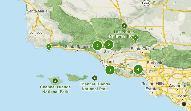 local Map