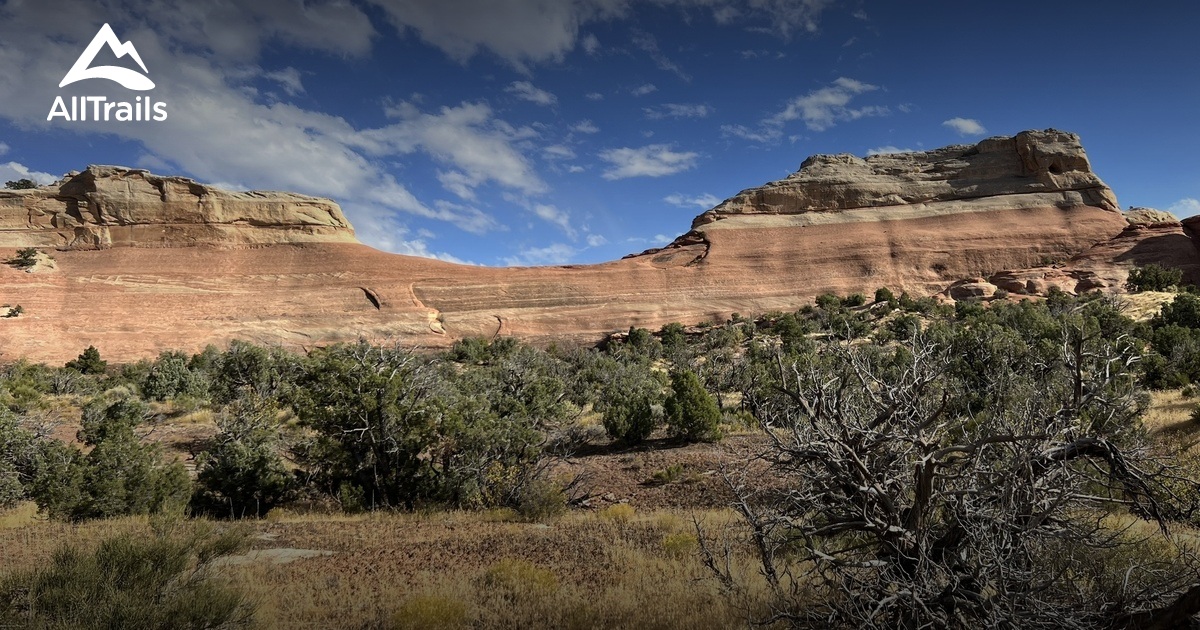 rabbit valley | List | AllTrails