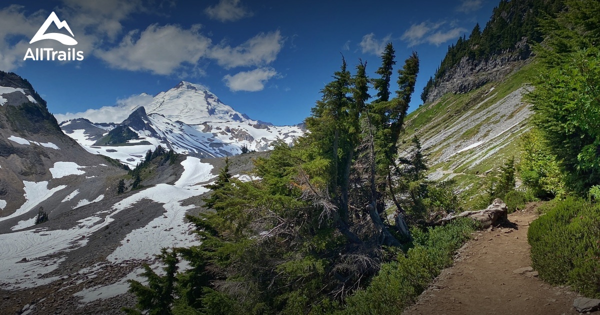 Mount Baker wilderness hikes | List | AllTrails