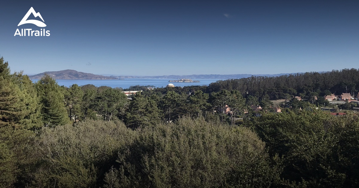 the bay baby | List | AllTrails