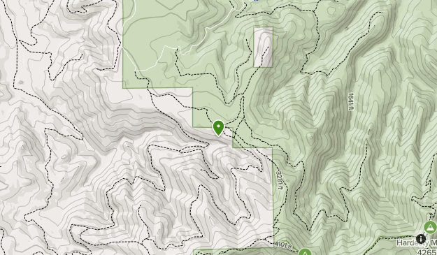 Eugene Map