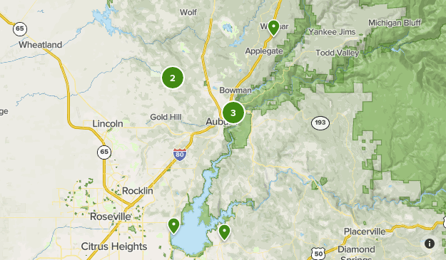 Local Map