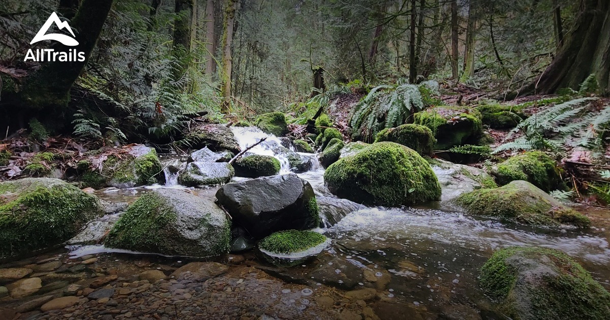 cougar mountain regional wildland - Lists 14290685 20221101194713000000 1200x630 3 P56193201