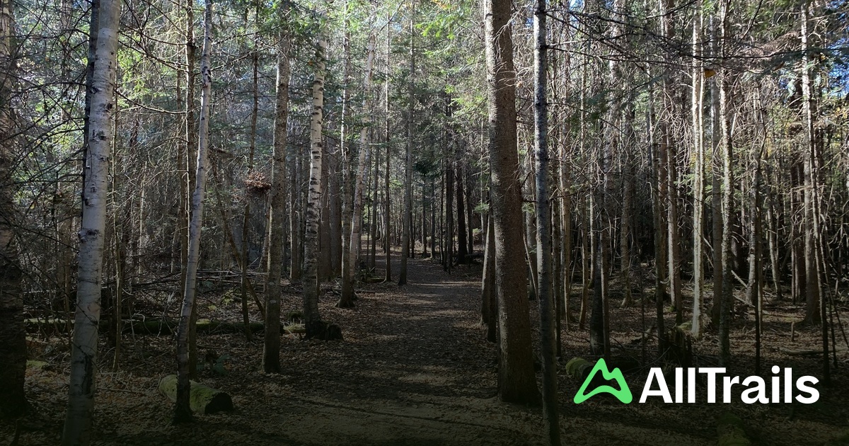 Lake Placid easy hikes List AllTrails