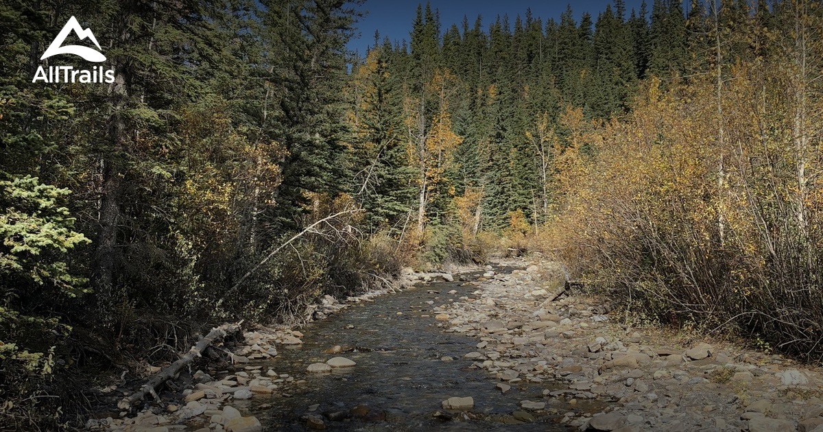 Abraham lake trail ideas | List | AllTrails