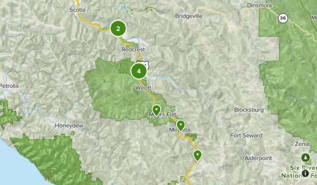 CA Avenue of the Giants | List | AllTrails