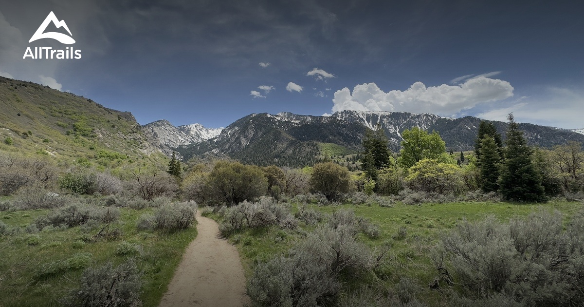 Whiskey Mountains | List | AllTrails