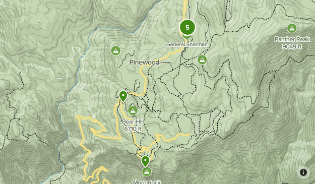 Sequoia National Park Map
