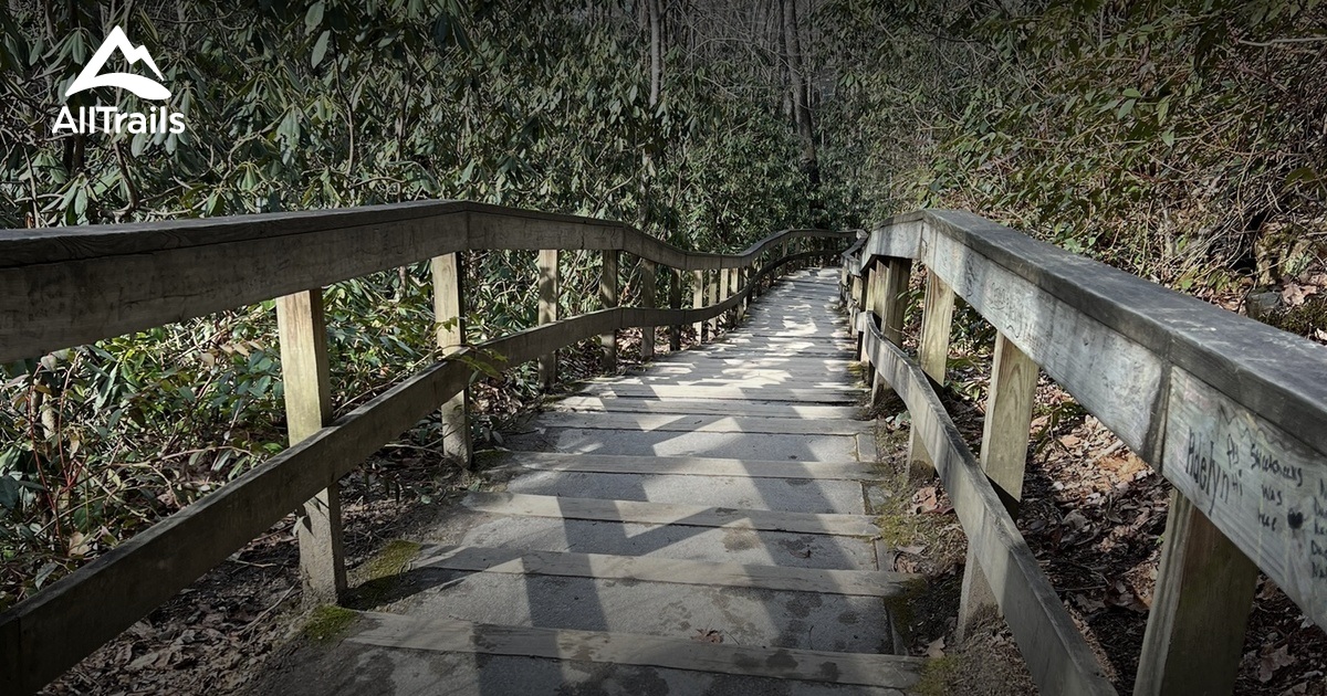 Bryson City Dog Friendly Trails List AllTrails