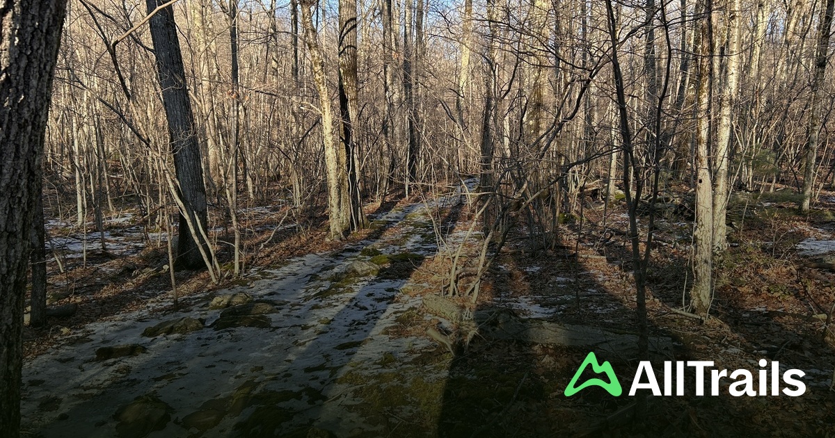 First Step Journeys | List | AllTrails