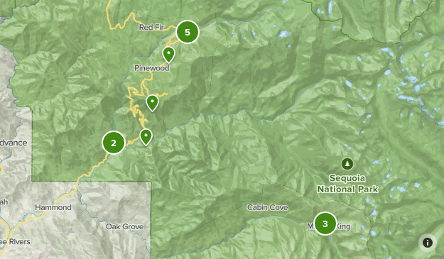 Sequoia national park List - Lists 14998801 20210707061327000000000 625x365 1 