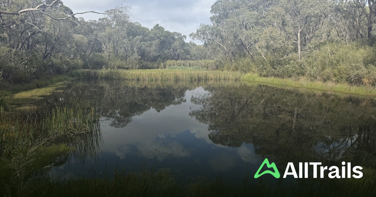 Bunyip State Park | List | AllTrails