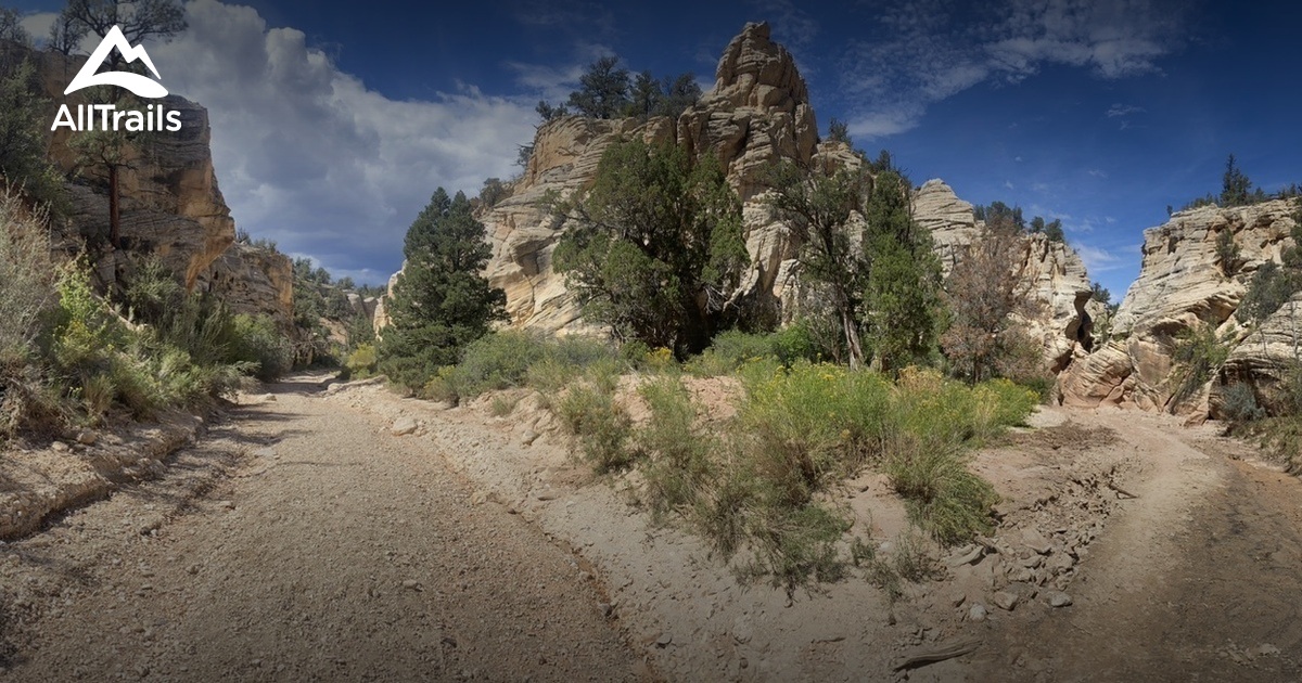 Dog friendly hikes in bryce clearance canyon