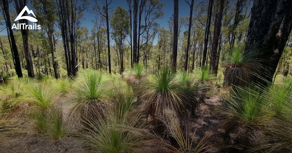 Lane Poole Reserve | List | AllTrails