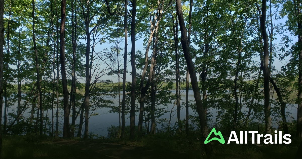 Waterloo state recreation area Chelsea | List | AllTrails