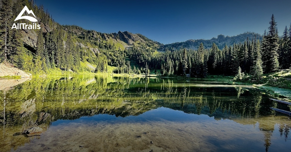 Mt. Rainier dog friendly trails List AllTrails