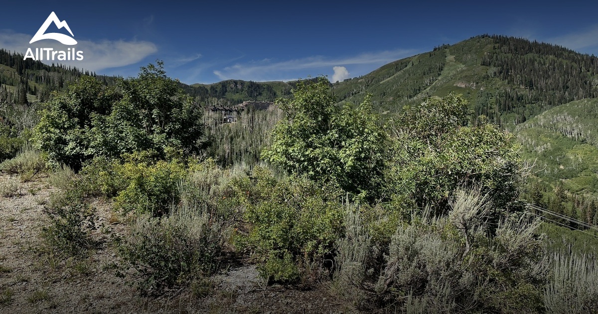 Guardsman Pass Hikes List AllTrails