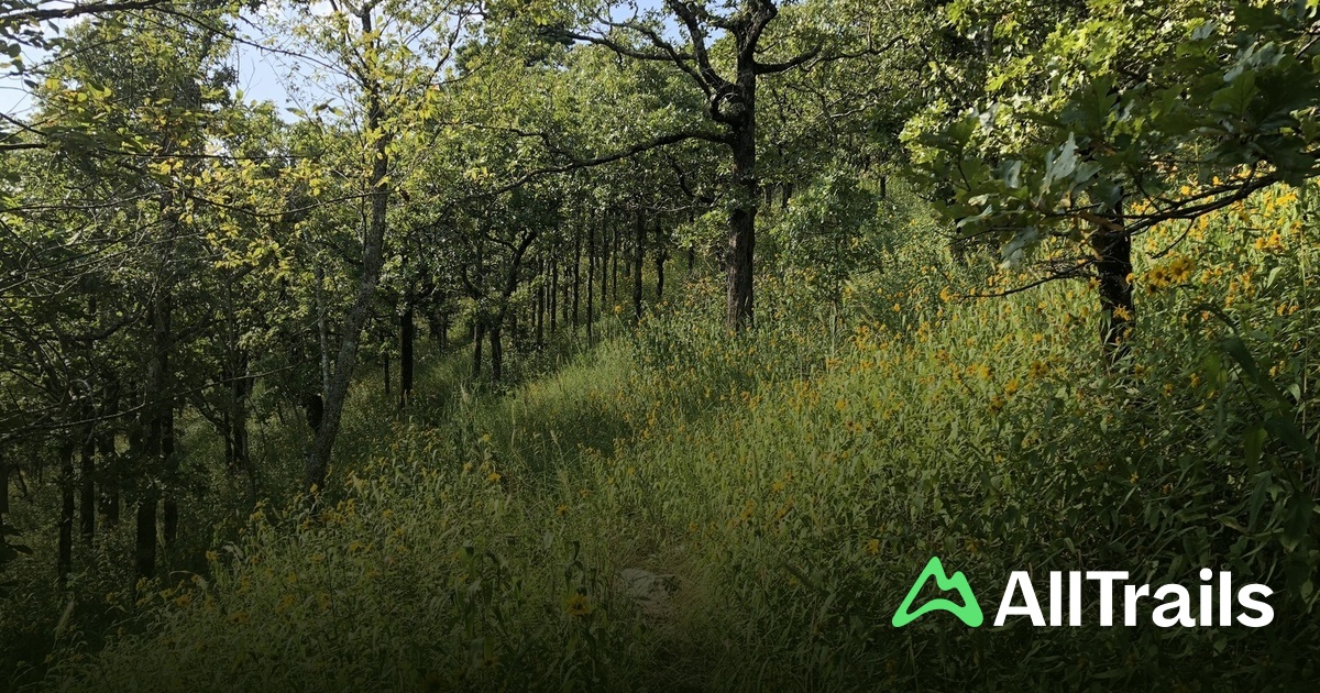 Texas in August | List | AllTrails