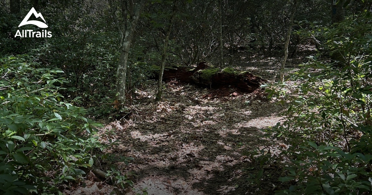 RI Walks Challenge List AllTrails