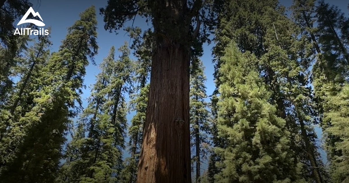 Lodgepole Campground Hikes List AllTrails