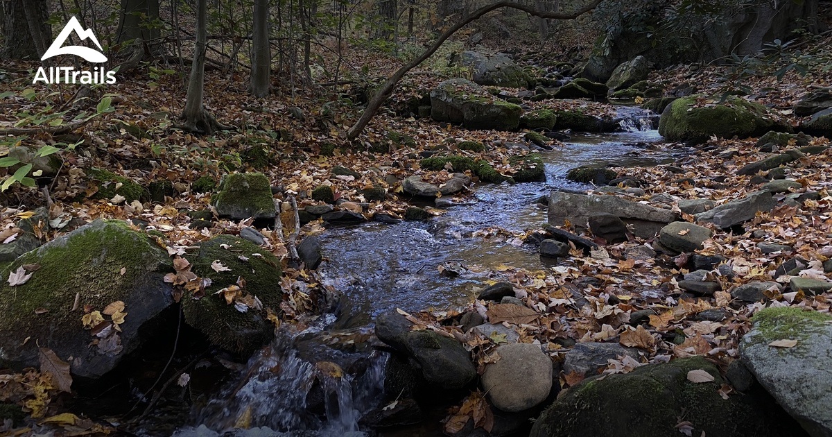 Forbes State Park | List | AllTrails