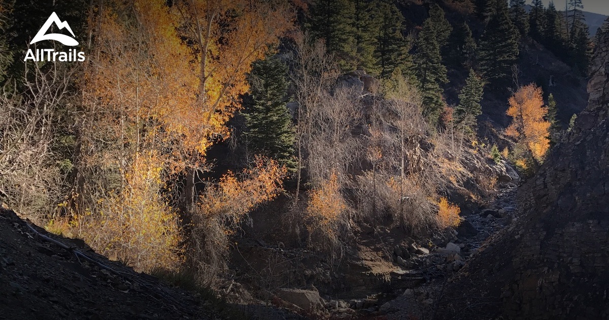 2021 Ouray Trail | List | AllTrails