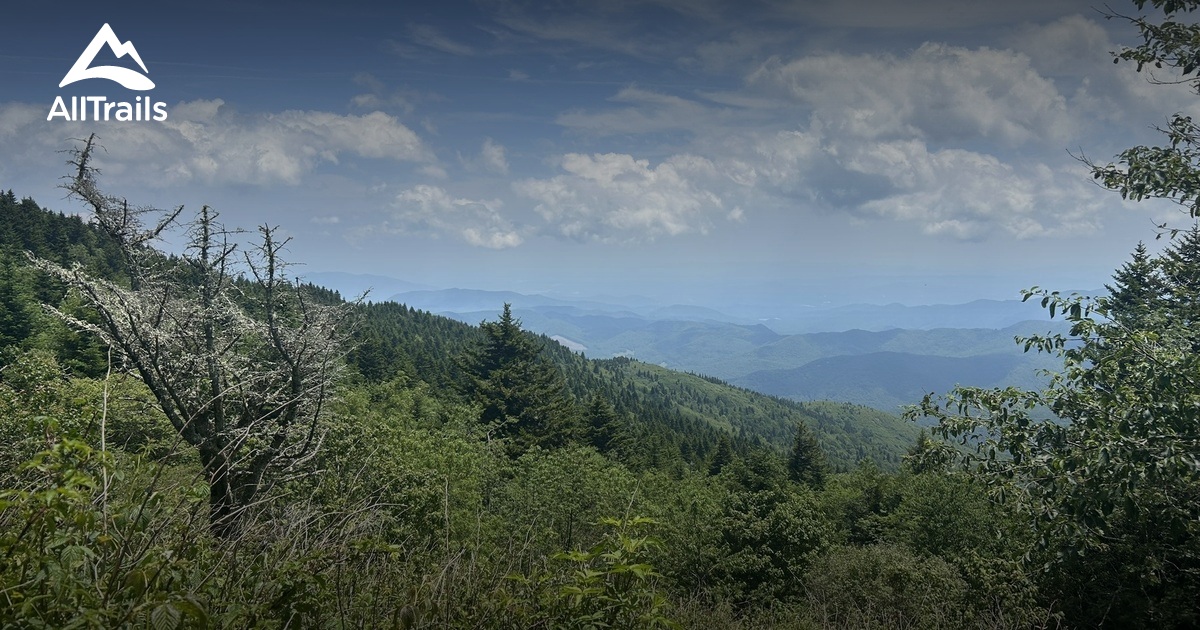 Asheville / Mount Mitchell | List | AllTrails