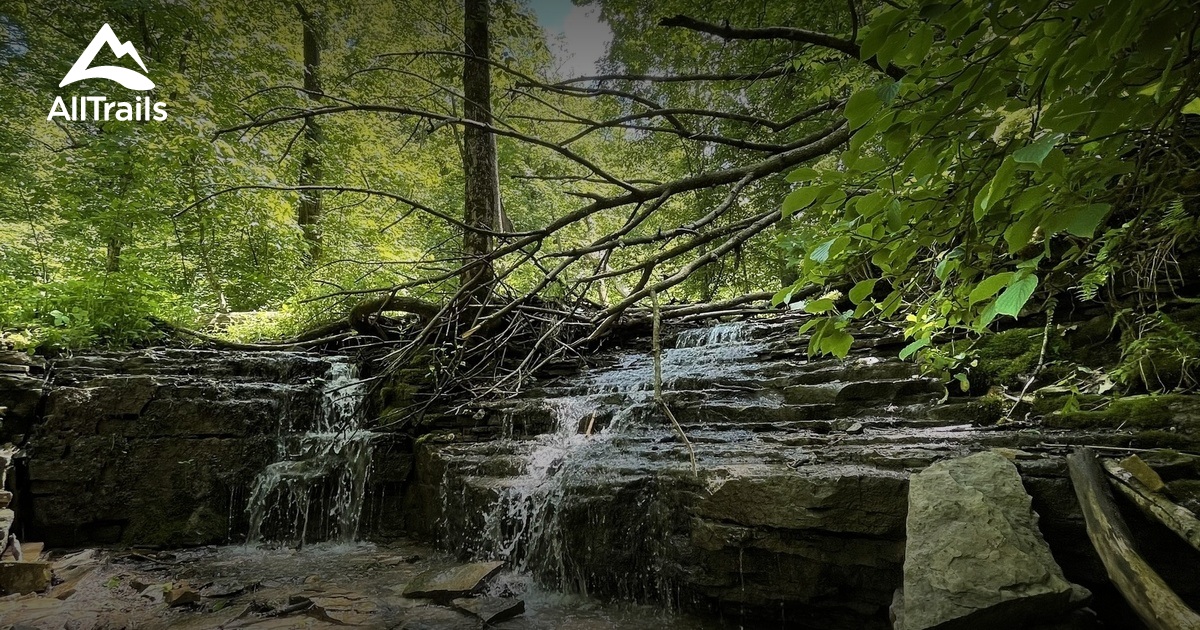 Caron park List AllTrails