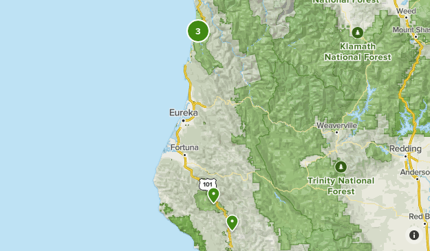 Prairie Creek State Park (Seattle Road Trip) | List | AllTrails