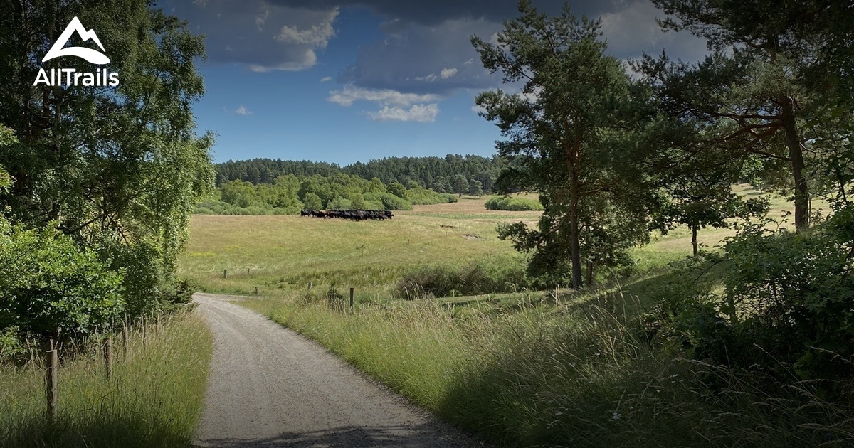 Danmark rundt sommeren 2022 | List | AllTrails