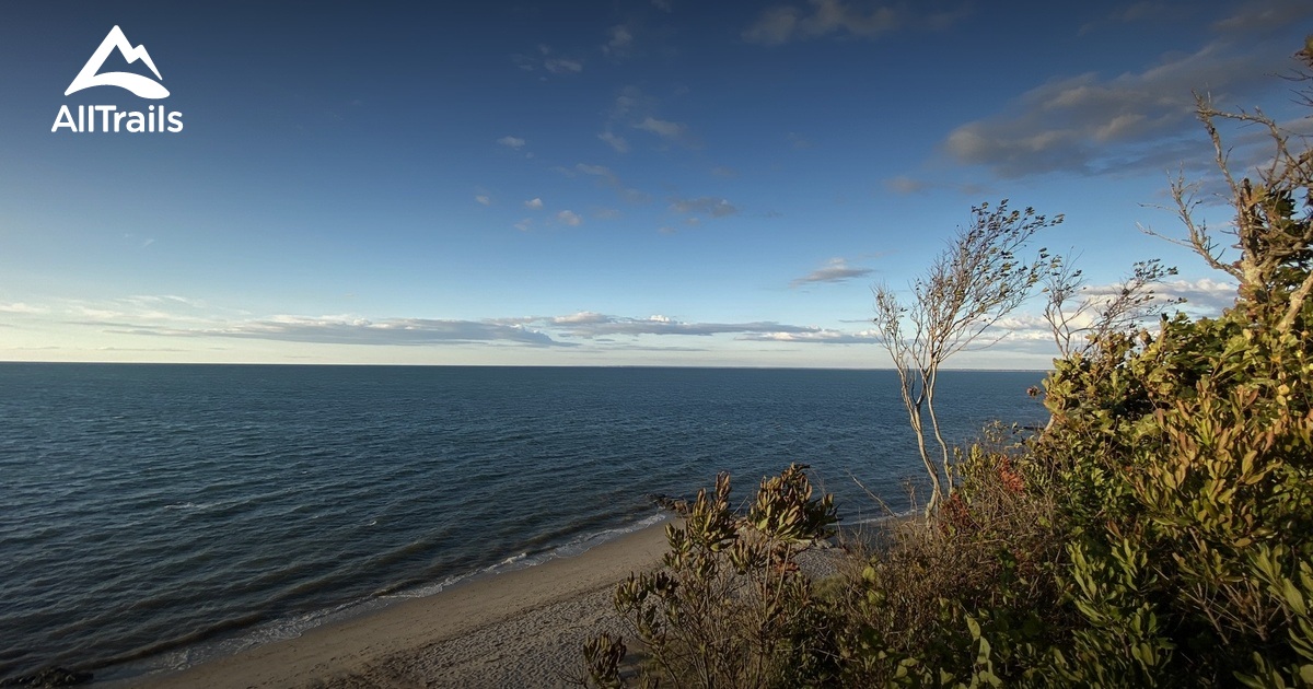 Cape cod fall foliage | List | AllTrails