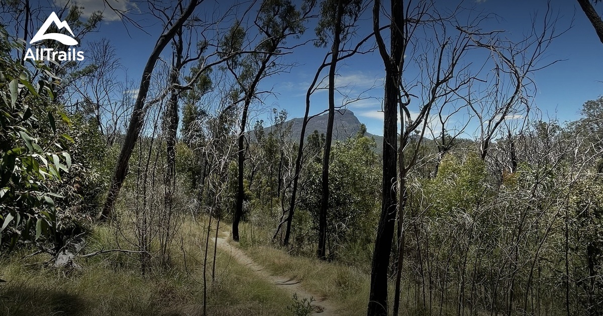 Mt Barney Options | List | AllTrails