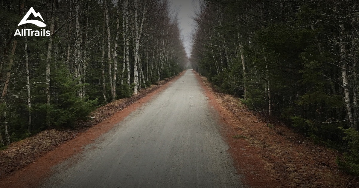 ns gravel bike