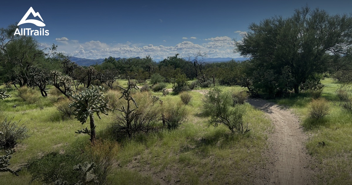 AZ Tuc Tortolita Preserve | List | AllTrails