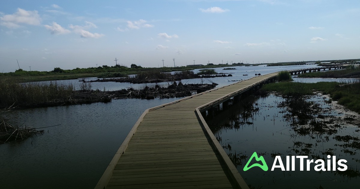 Sea Rim Tx Sea Rim State Park (TX) | List | AllTrails