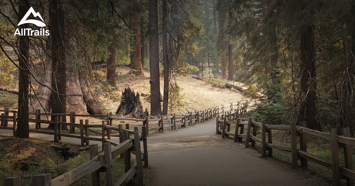 Grant grove trail sale