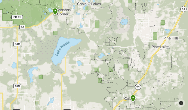 ocala National Forest List - Lists 18290541 20211205171714000000 625x365 1