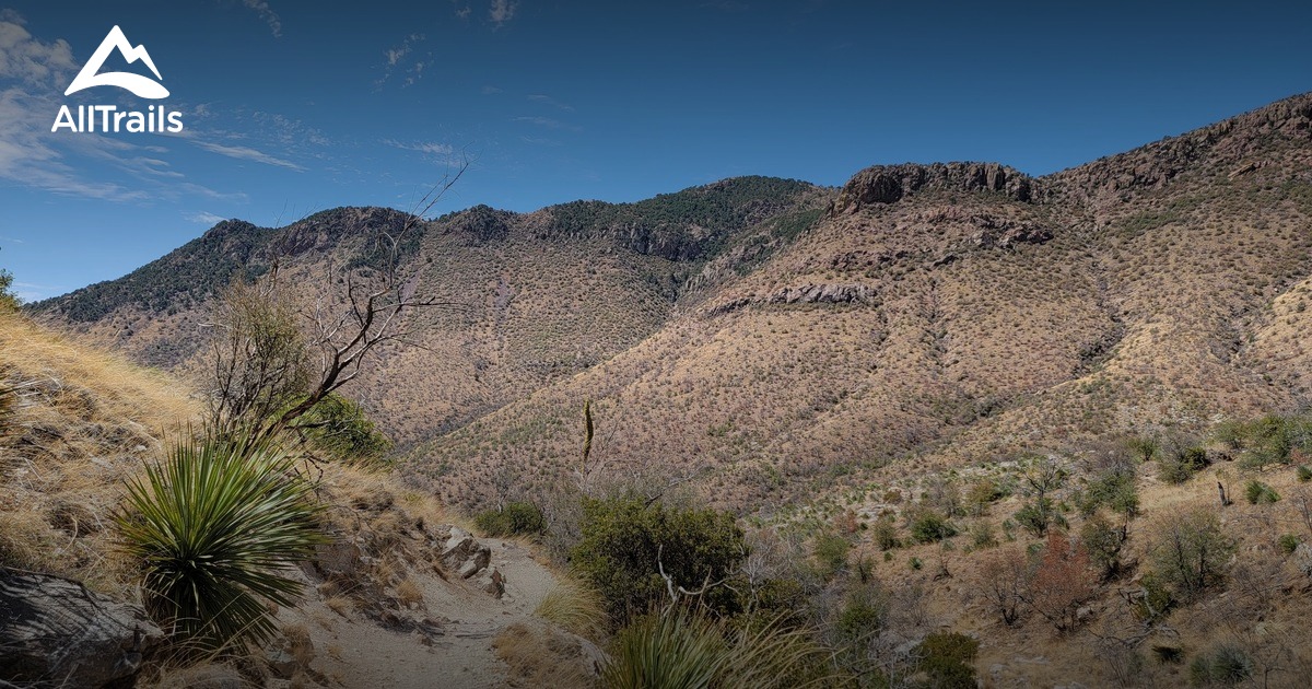 Coronado national monument | List | AllTrails