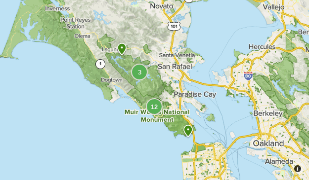 Marin Headlands Mt Tam area - Lists 18459830 20221216033826000000 625x365 1 