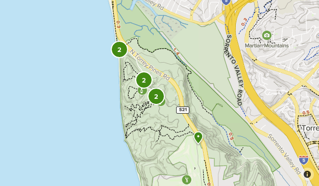 Best Torrey Pines - San Diego | List | AllTrails