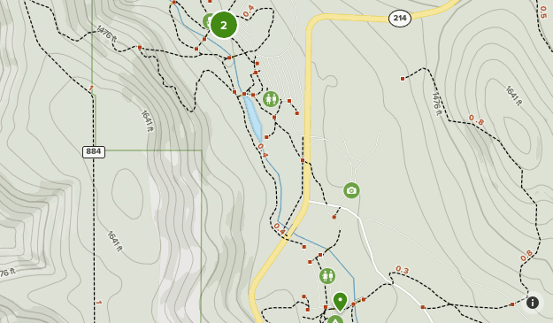 Silver Falls State Park | List | AllTrails