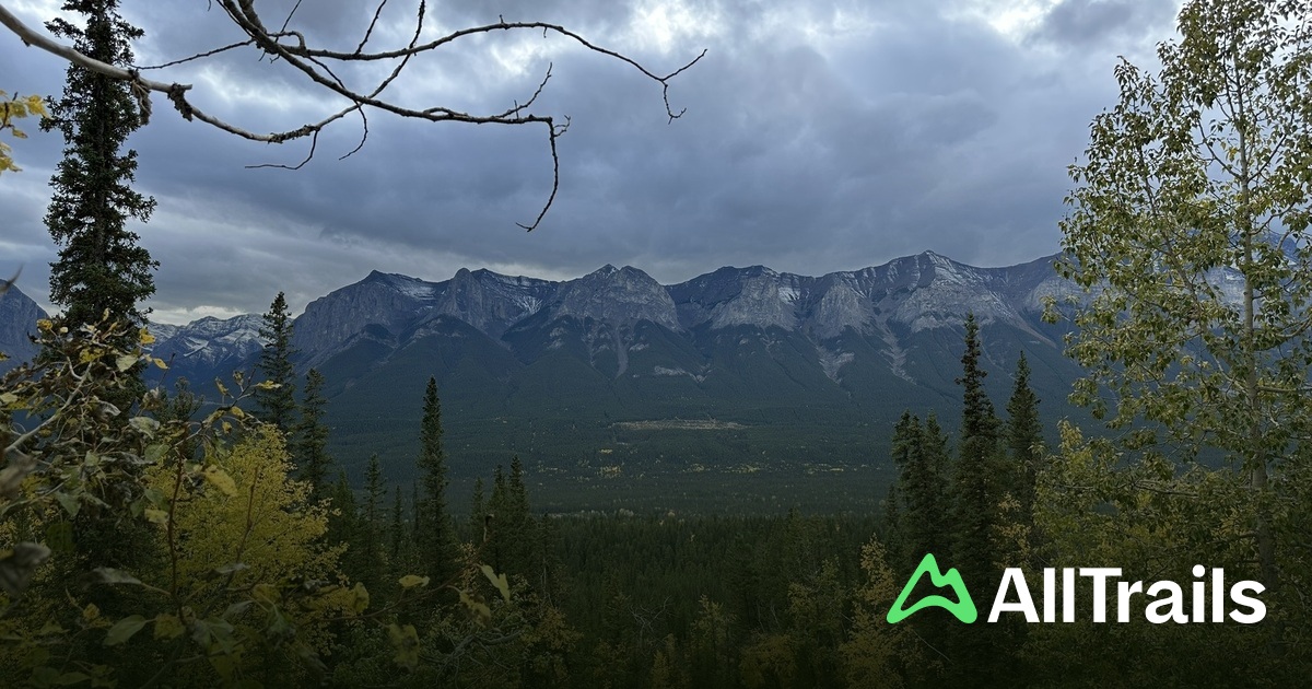 Bosses do ‘Berta 2022 | List | AllTrails