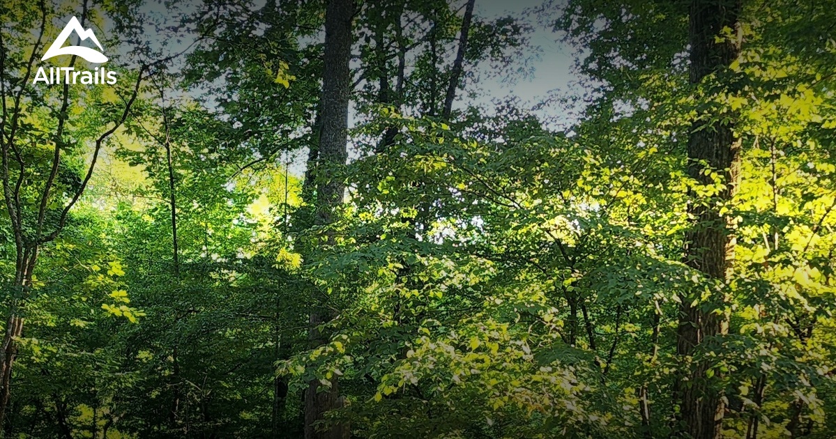 Pigeon hikes List AllTrails