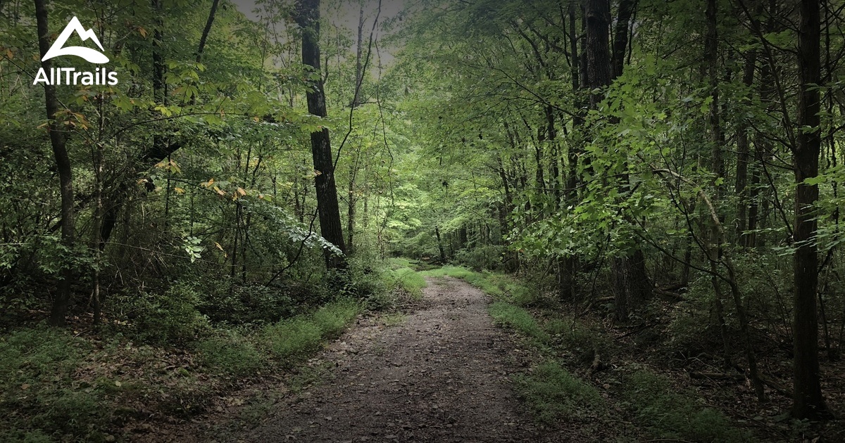 Trails between Knoxville and Louisville | List | AllTrails