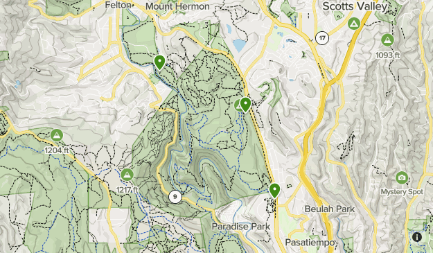 Dog Friendly Henry Cowell Redwoods - Lists 20474215 20220711043917000000 625x365 1 