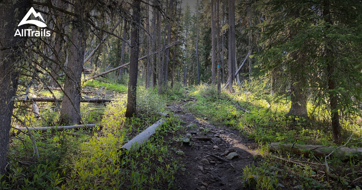 Yellowstone Dog Friendly Hikes List AllTrails