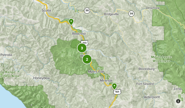 Avenue of the giants | List | AllTrails